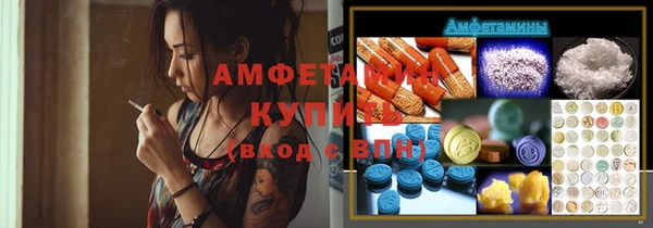 спиды Богородицк