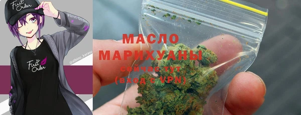 спиды Богородицк