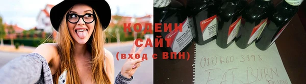спиды Богородицк