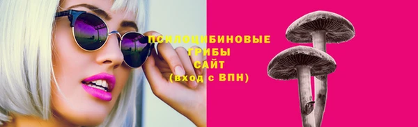 спиды Богородицк
