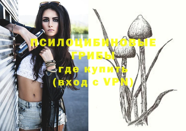 кокс Богданович