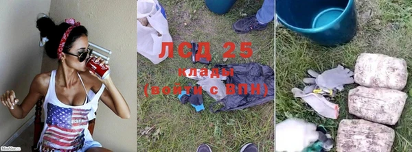 винт Белокуриха