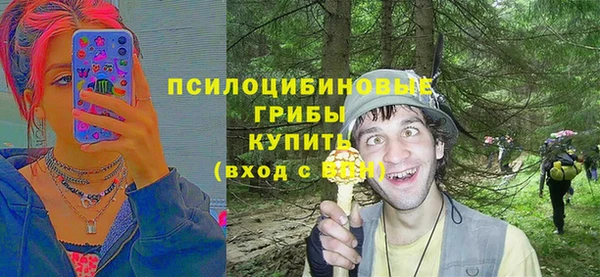 кристаллы Богородск