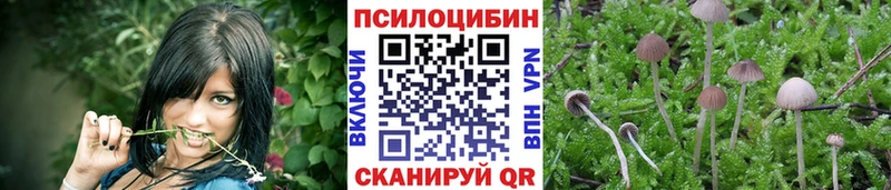 Псилоцибиновые грибы Psilocybe что такое наркотик Буйнакск