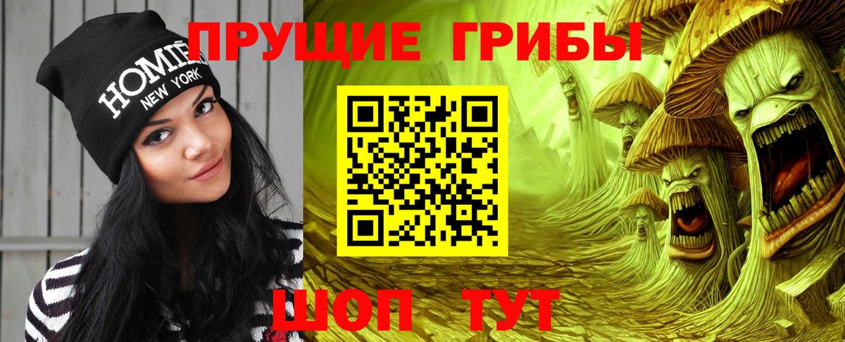 Буйнакск  Галлюциногенные грибы мухоморы  Вход с VPN 